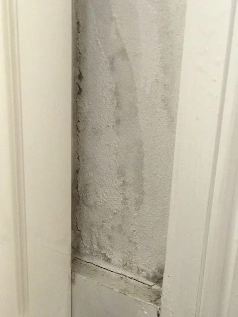 How I (mostly) got over CIRS or mould illness while staying in my mouldy house