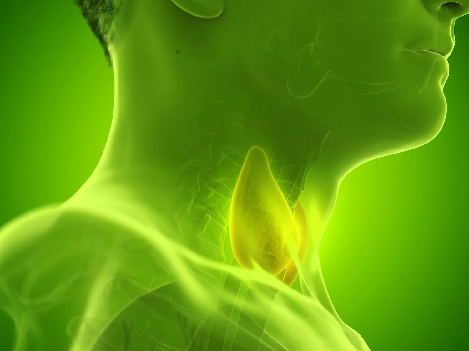 Your thyroid and hormone issues – A Functional Nutrition view