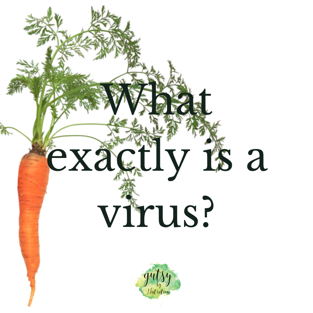 What is a virus and how can antioxidants help?