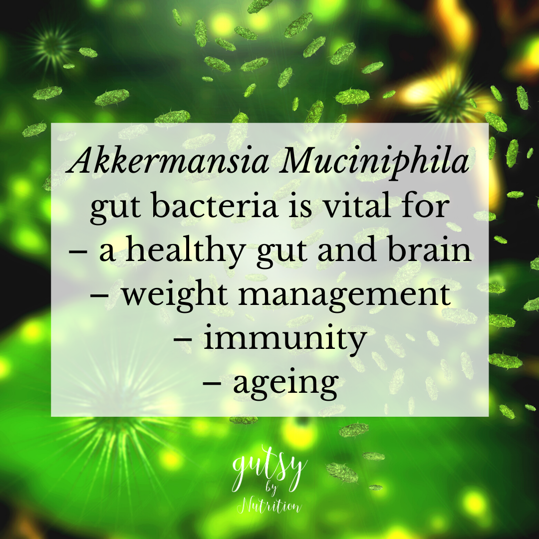 Akkermansia Muciniphila is vital to your health