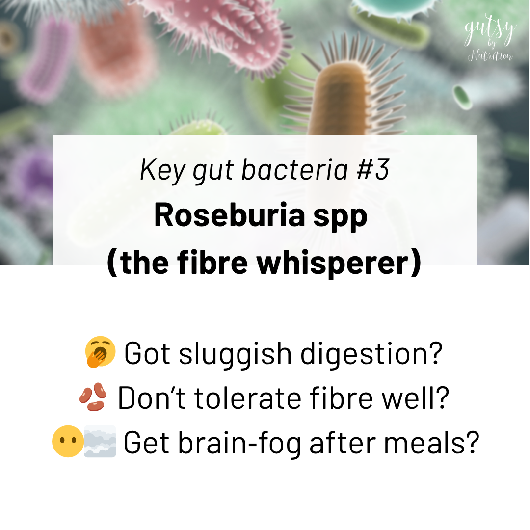 Experience sluggish digestion, brain fog after meals, or don't tolerate fibre? Could be low in Roseburia (the fibre whjisperer)