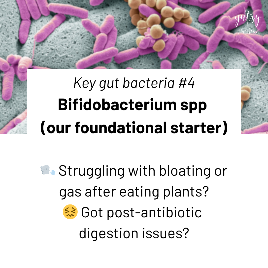 Get gas after eating plants, or have post-antibiotic digestion problems? Could be low Bifidobacterium (our starter microbe)
