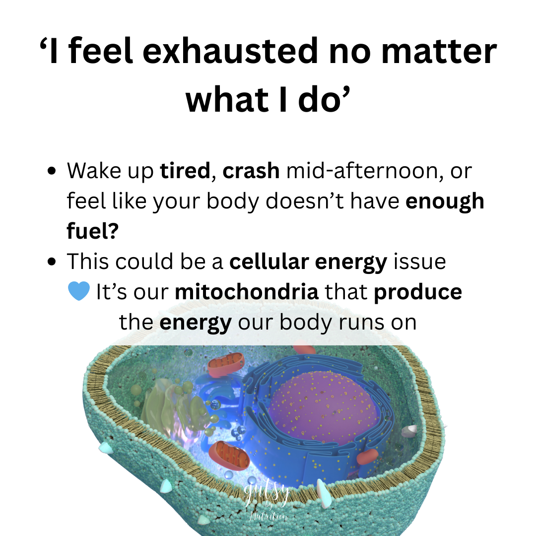 Could improving mitochondrial (cell energy) health be your key to healing?