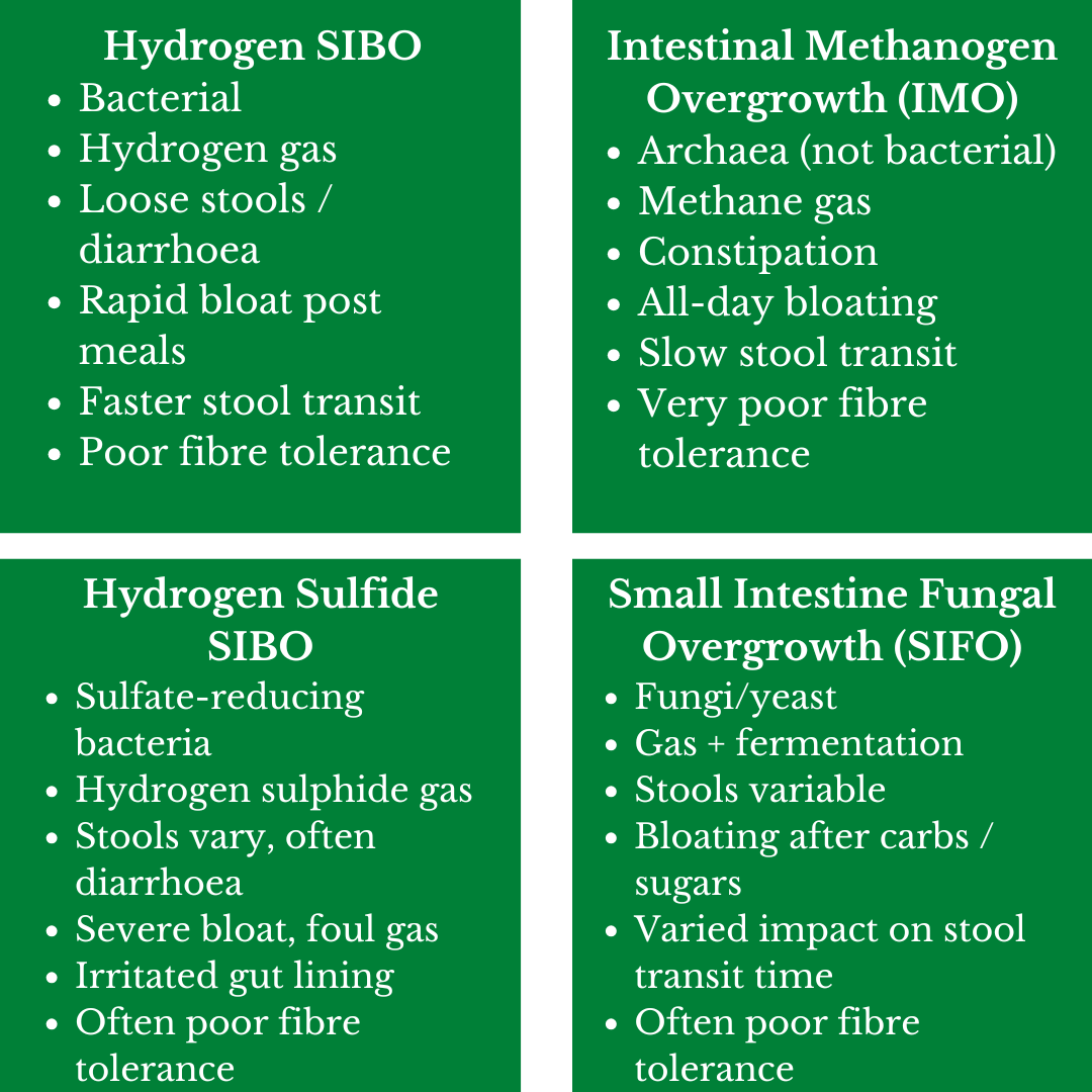The difference between SIBO, IMO, or SIFO