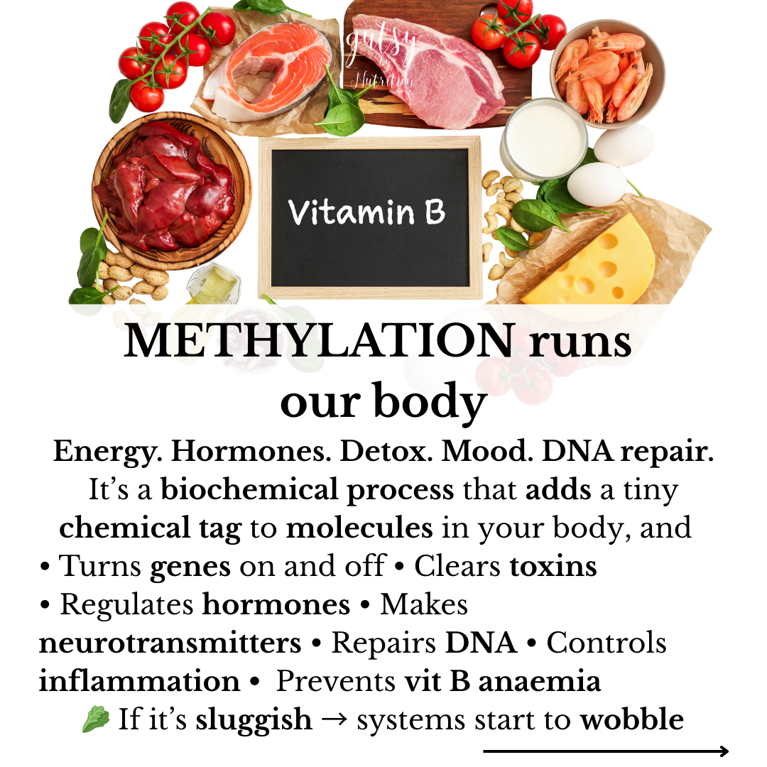Methylation runs our body