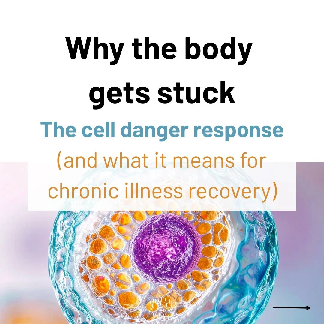 why the body gets stuck – the cell danger response (&amp; what it means for chronic illness recovery)
