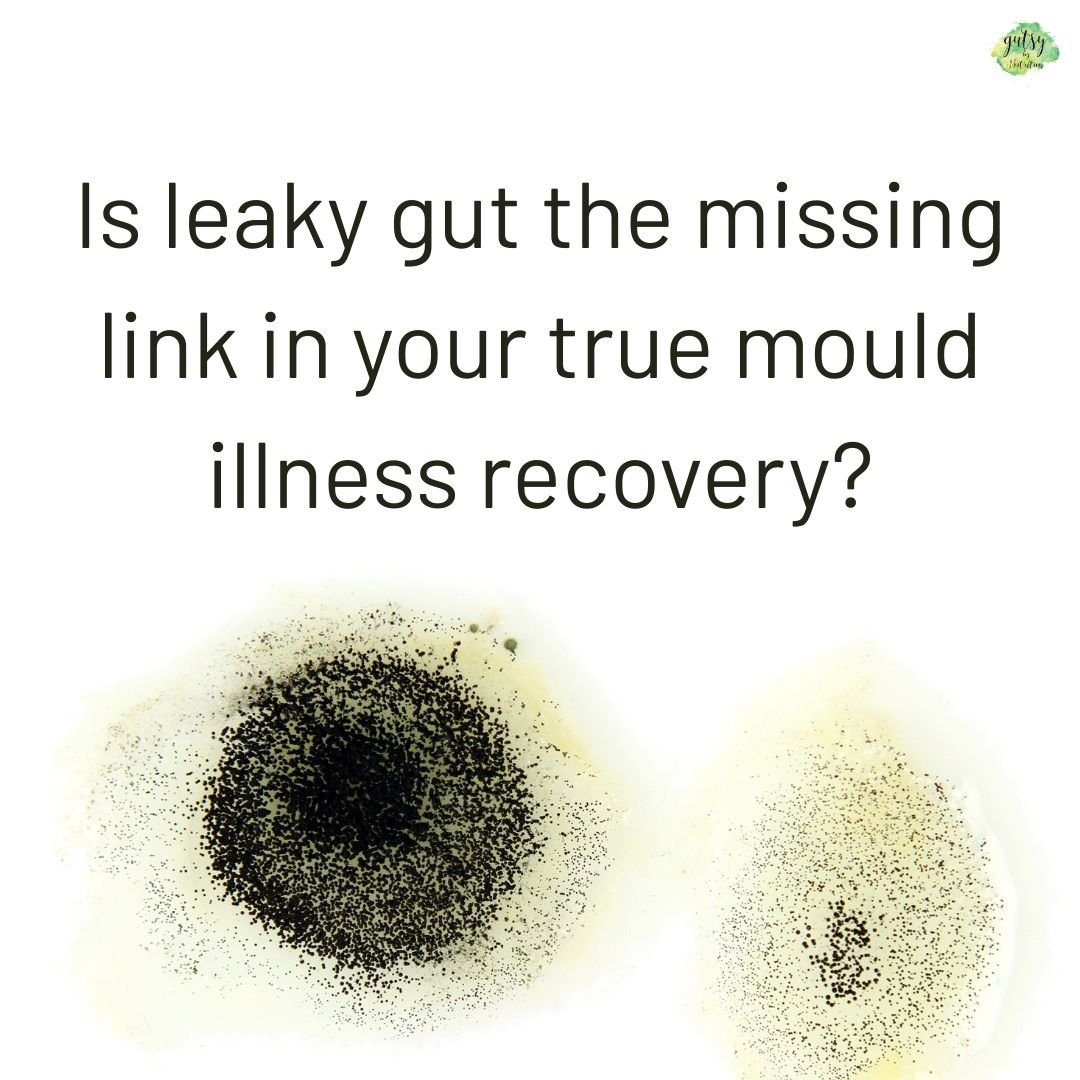 Is leaky gut making your oxalate problem worse-3.jpg