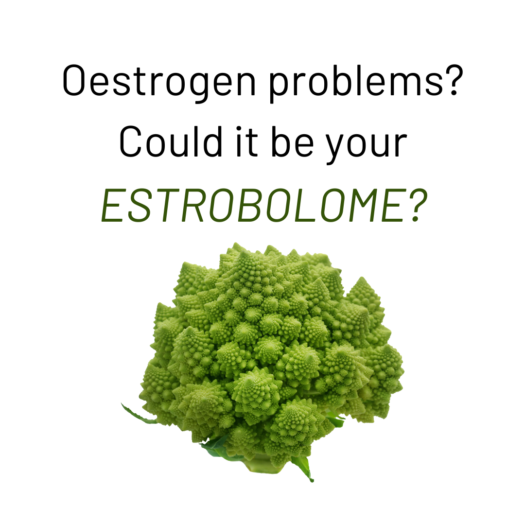 Oestrogen problems - could it be your ESTROBOLOME? — Gutsy By Nutrition