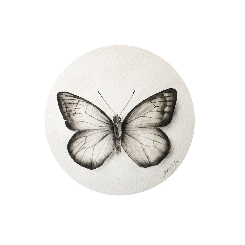 Flowers That Fly, 2018