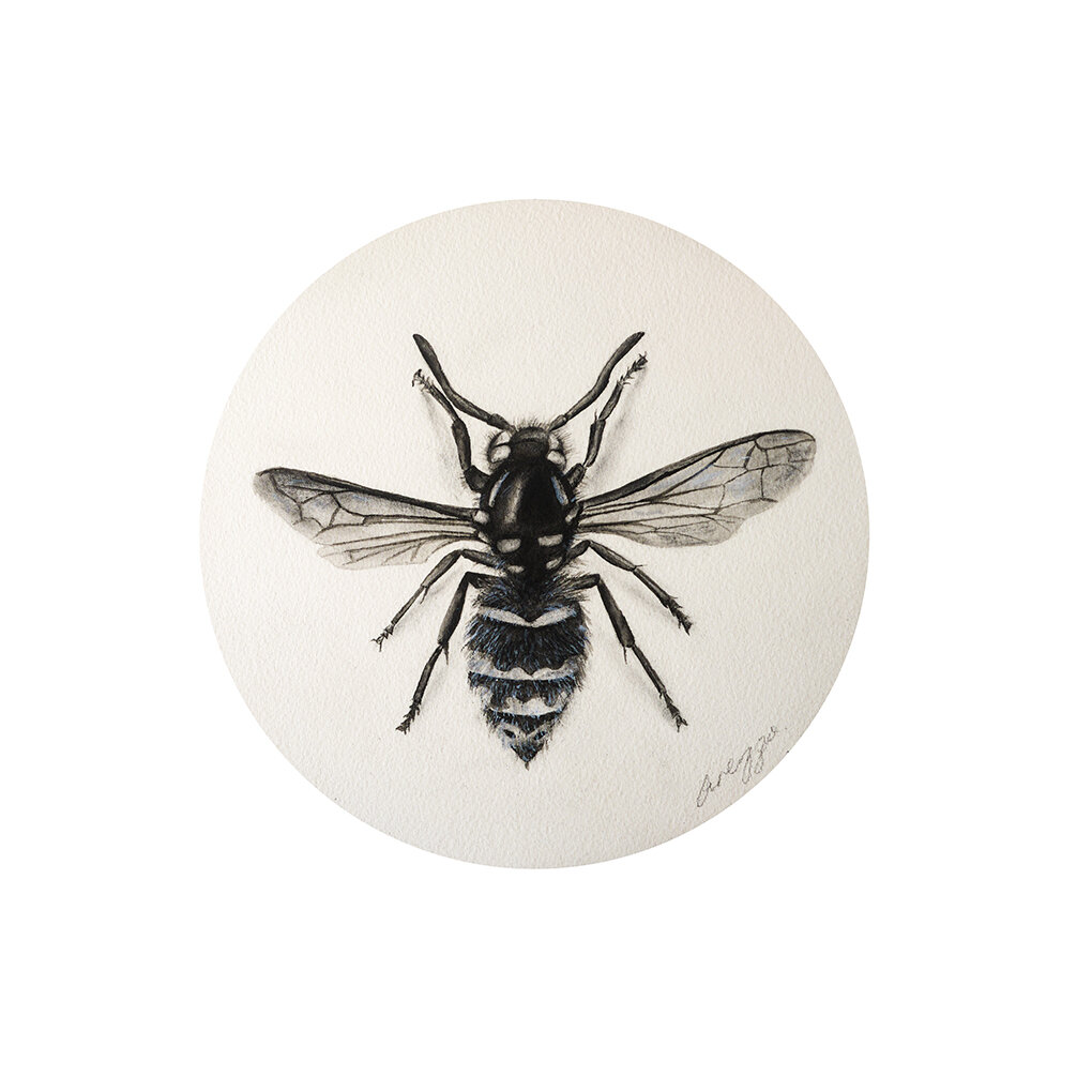 Wings Of Transformation, 2018