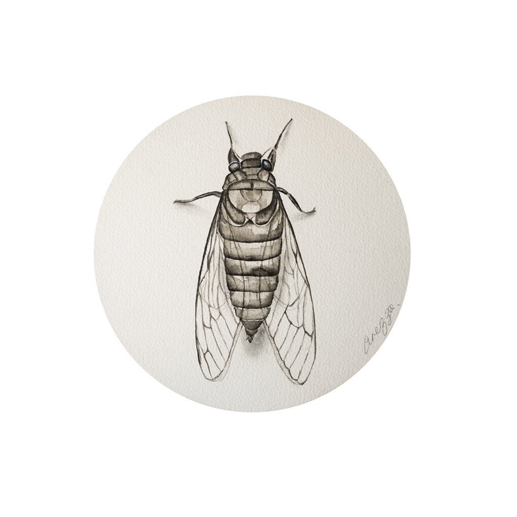 Summer Is Here, 2018