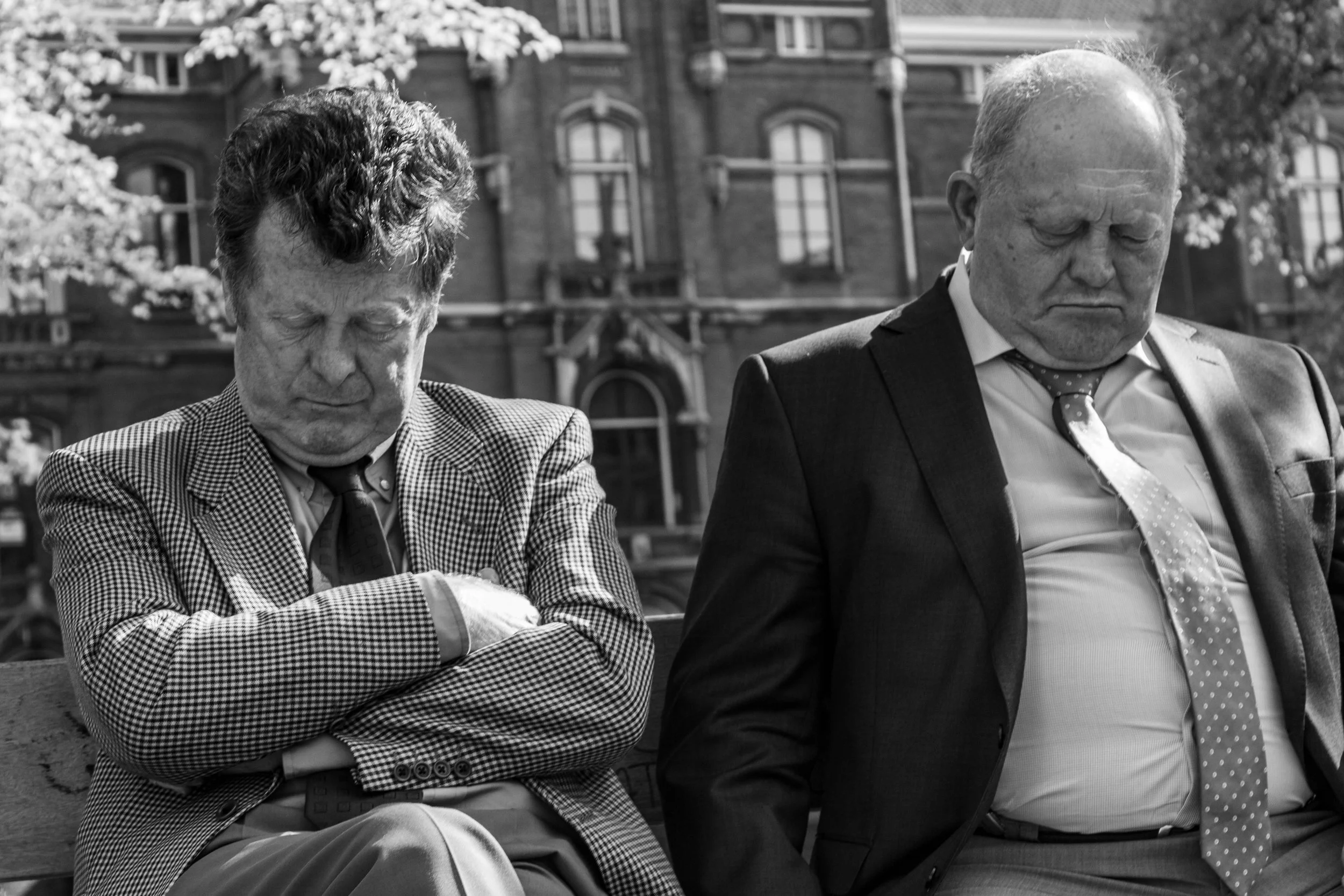 Two old friends napping