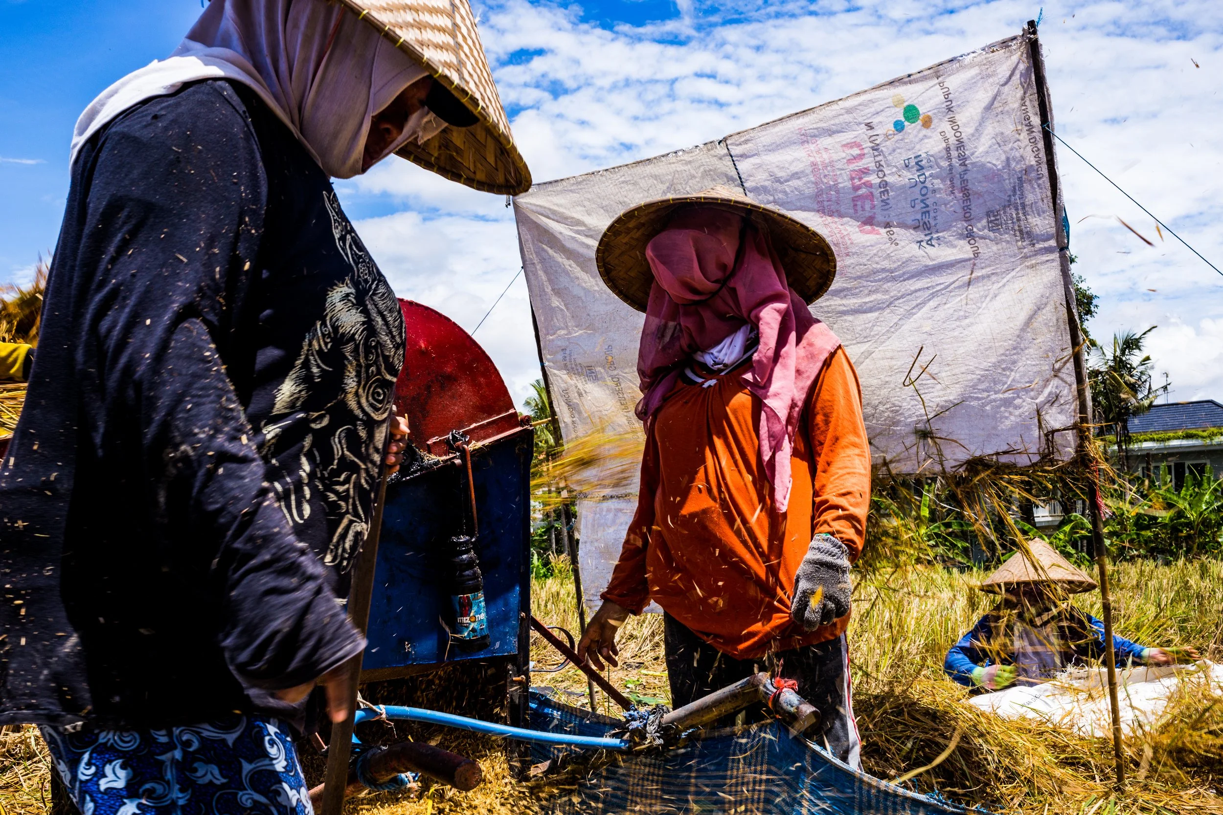 Two farmers wearing traditional conical hats and long-sleeved shirts work in a rice paddy field, using a water pump with a bright blue pipeline, under a partly cloudy sky.