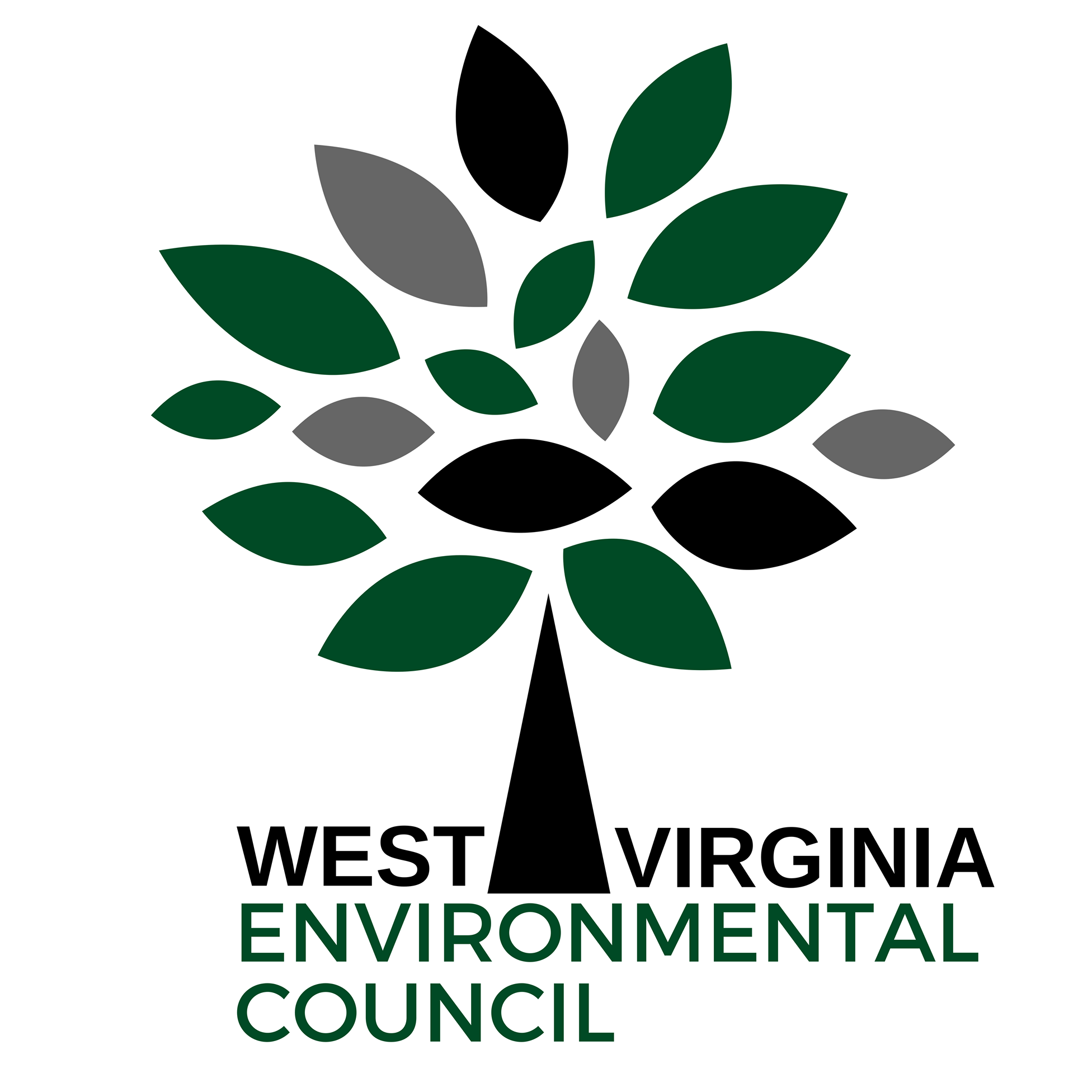 WV Environmental Council_squarish logo.png