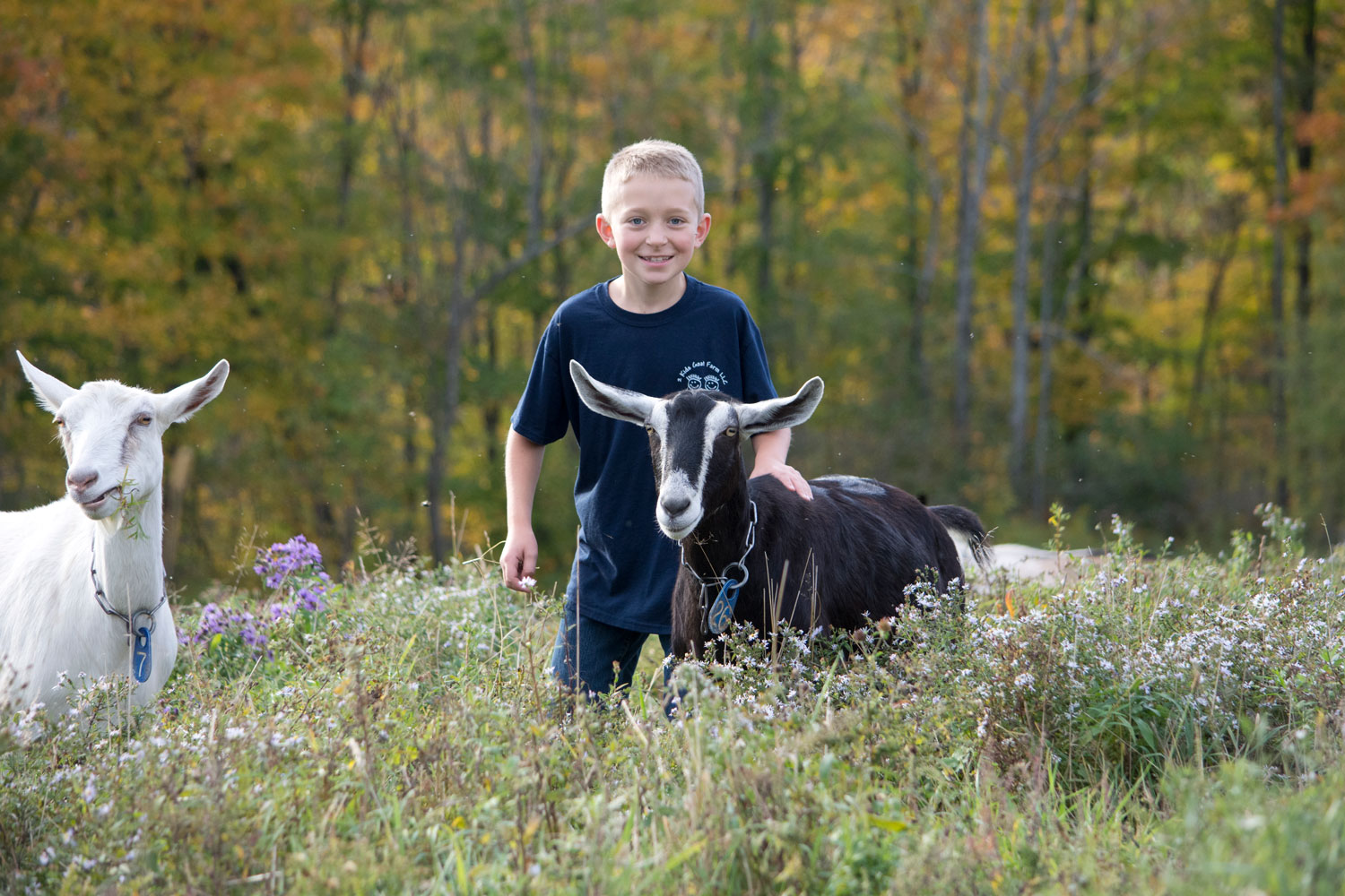 2 Kids Goat Farm