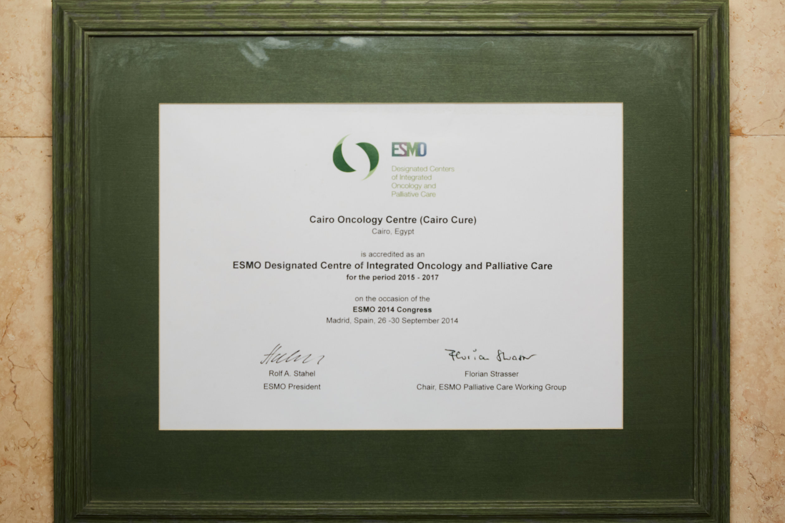 ESMO Accrediation Certificate
