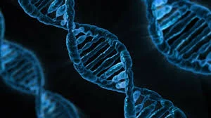 Genetic Diagnostics.jpg