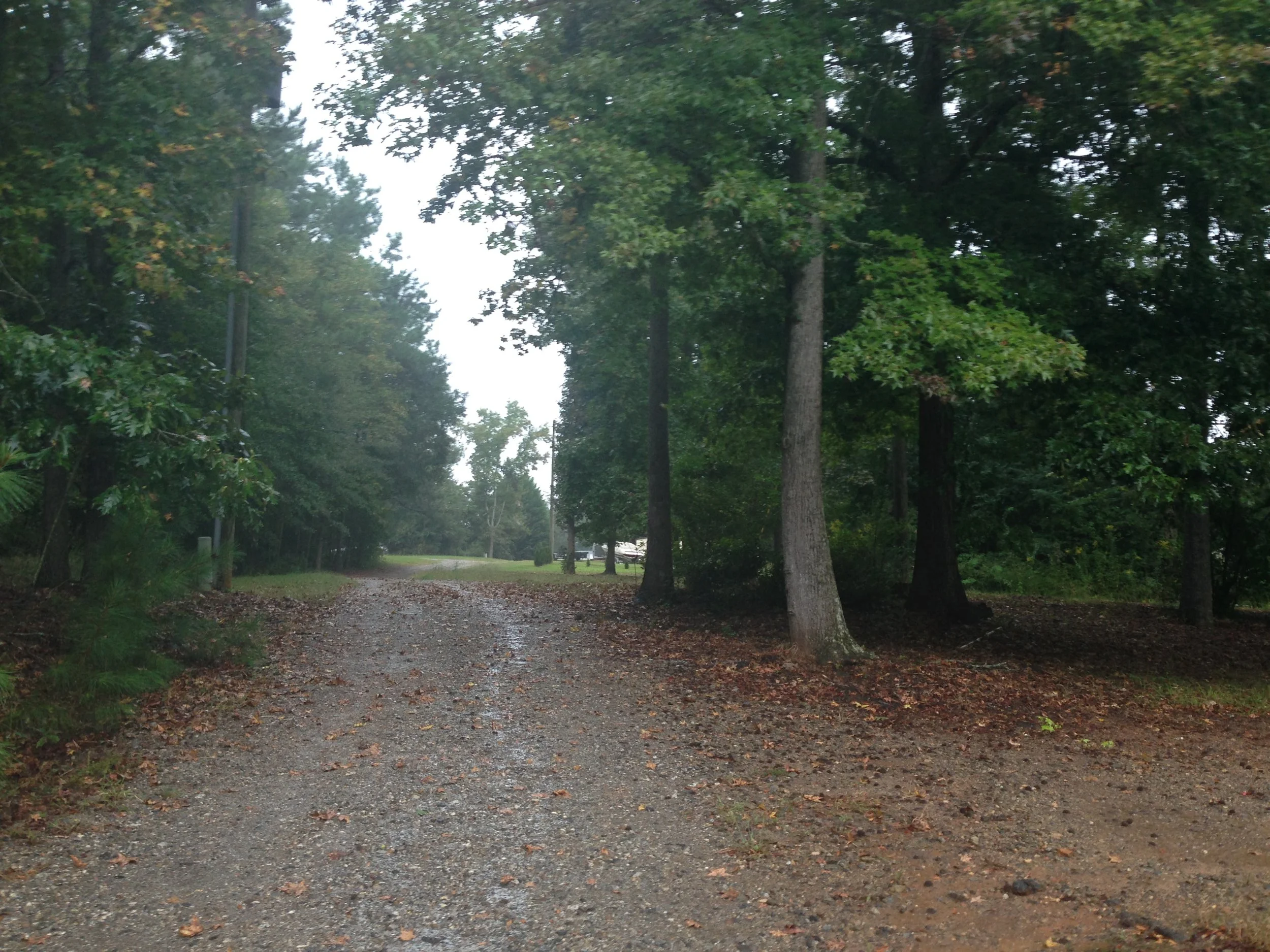 driveway.jpg