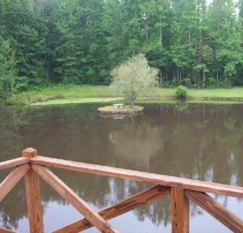 pond.jpg