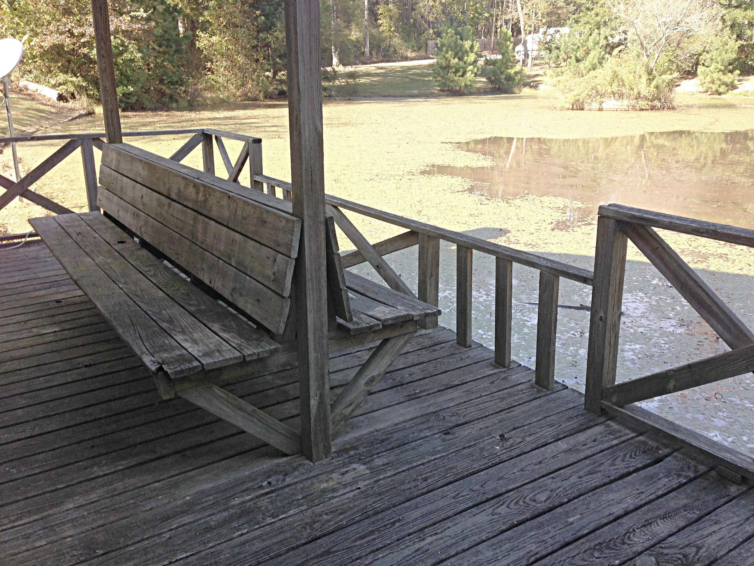 deck and pond.jpg
