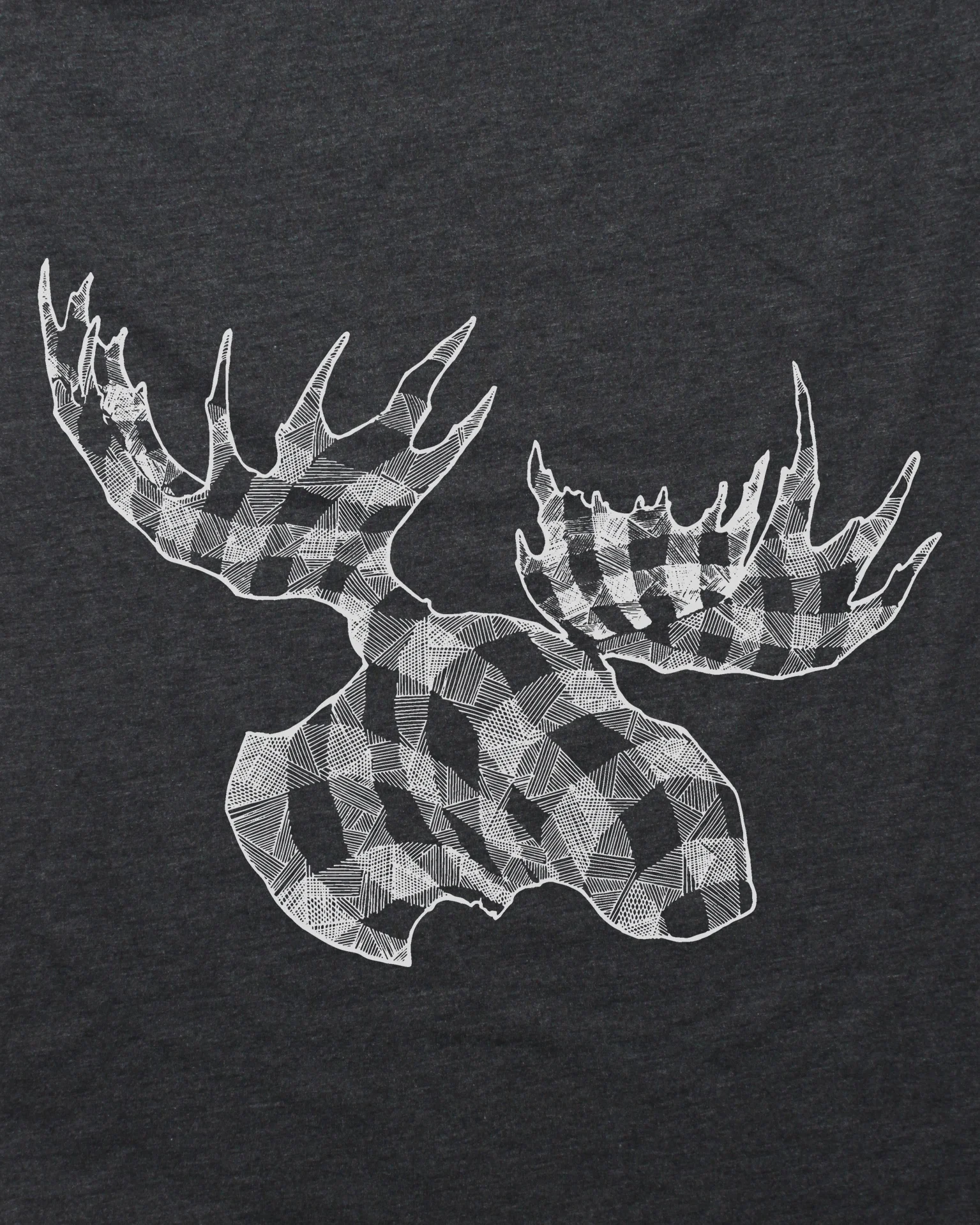 moose(close).jpg