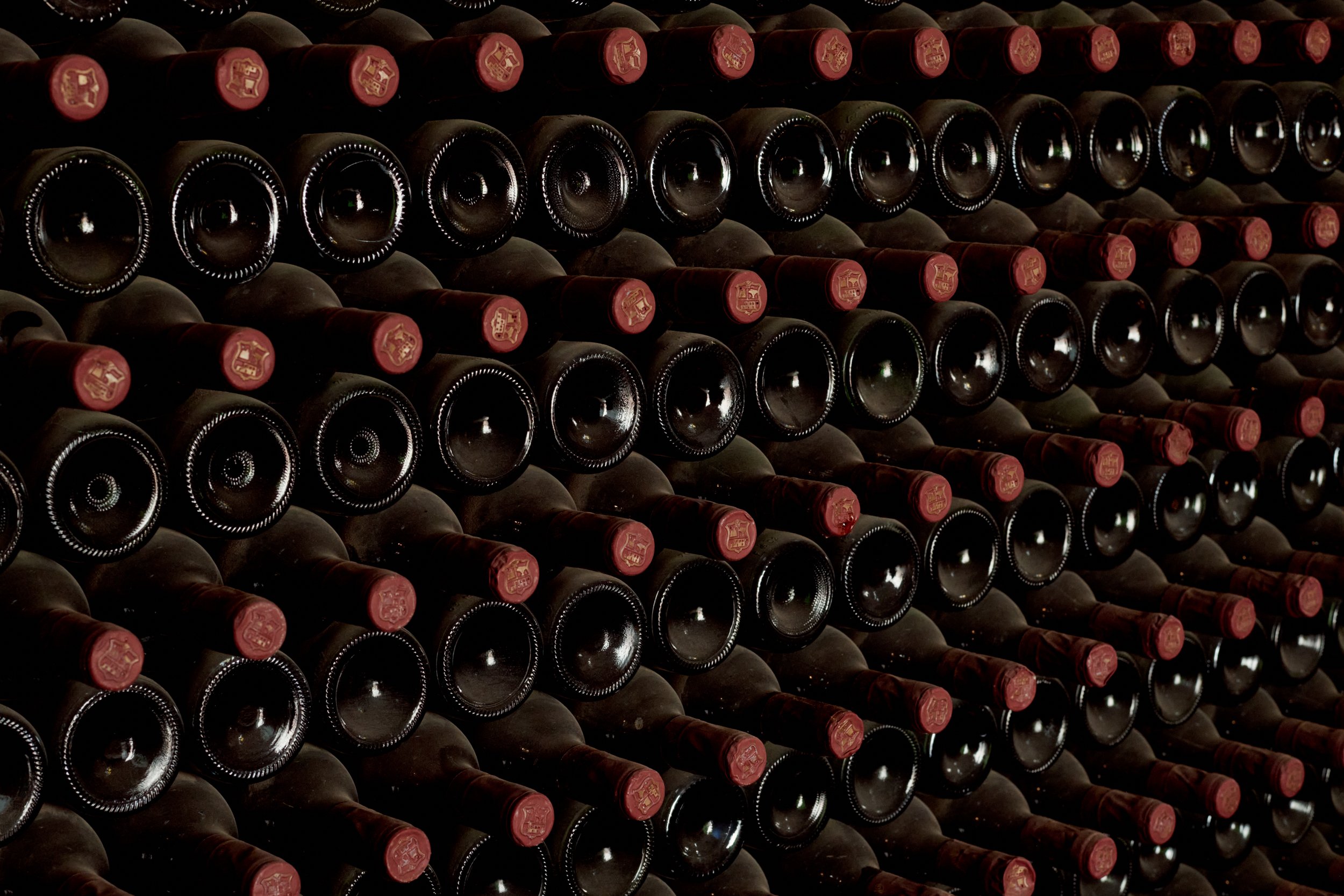 Lanzarote 6LANZ_00382, Mat Hay, documentary photographer, portrait photographer, landscape, farming, winemaking, vineyards, wine, grapes, scottish photographer, volcano, volcanic winemaking.jpg