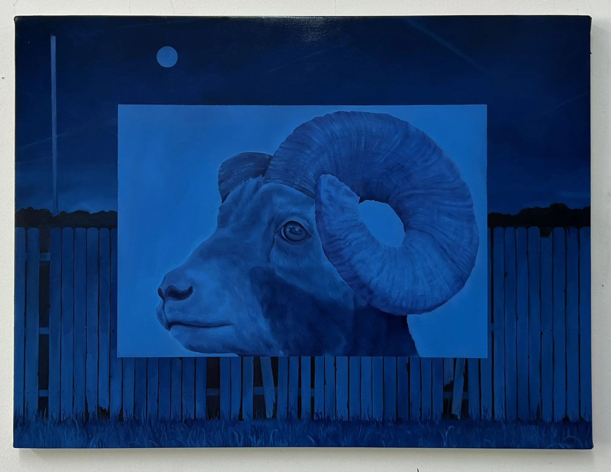 Field of vision_18x24.jpg