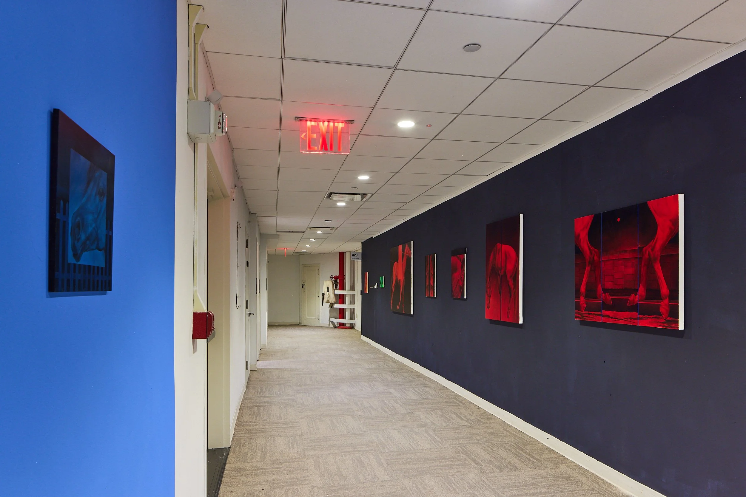 a23_sbny25_0575 3.JPG