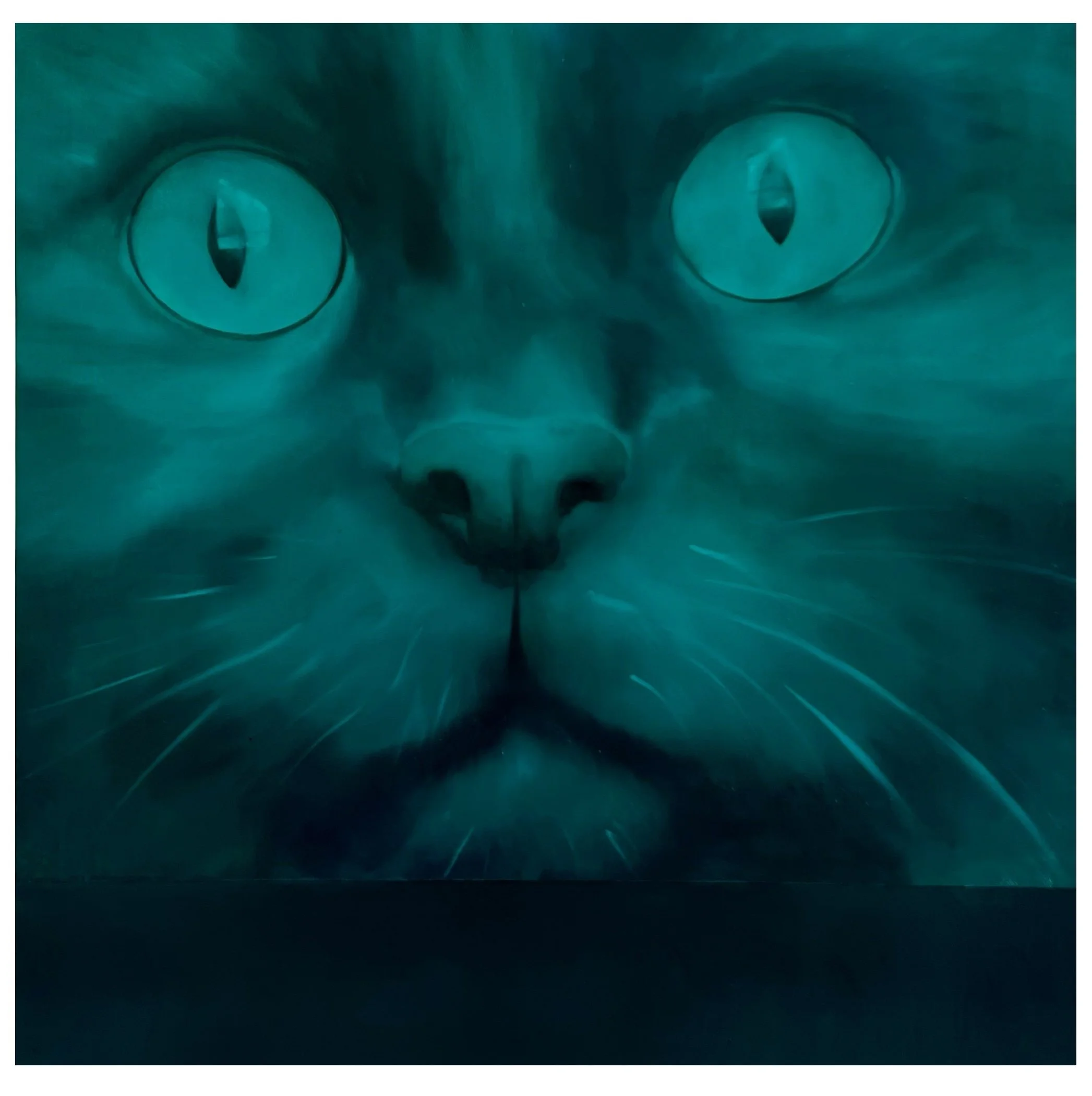Study of a cat in space_claire HarnEnz.jpg
