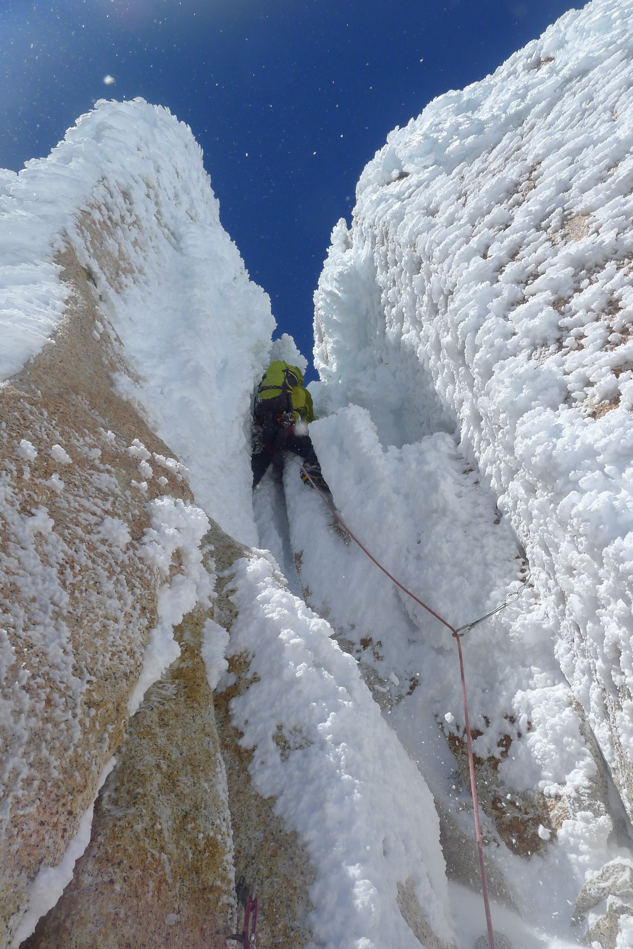 rime time! Photo: Tony stone