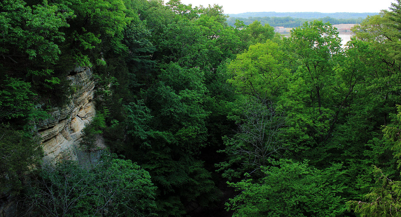 About — Run Starved Rock Country