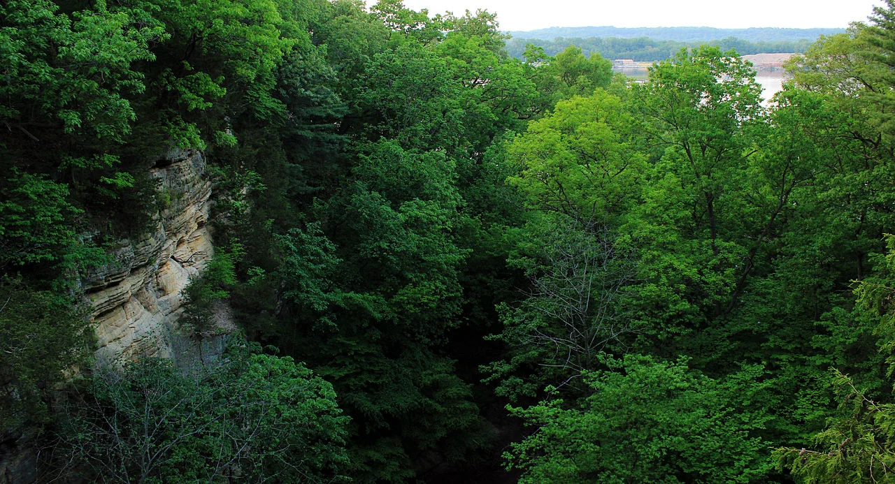Gfp-illinois-starved-rock-state-park-canyon-view.jpg