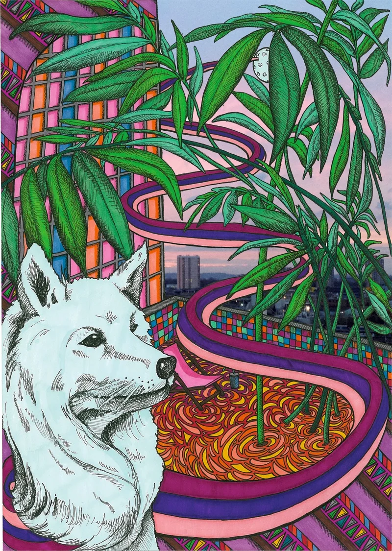 Lungarno magazine cover