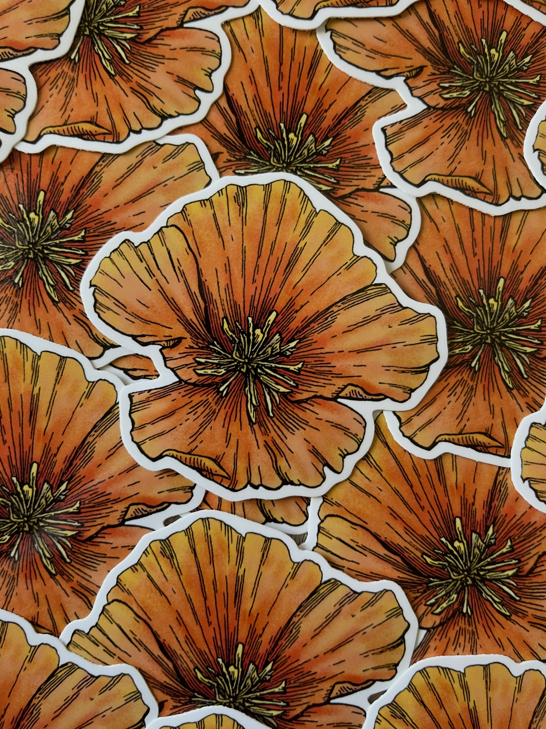 California Poppy - Gloss Vinyl Sticker