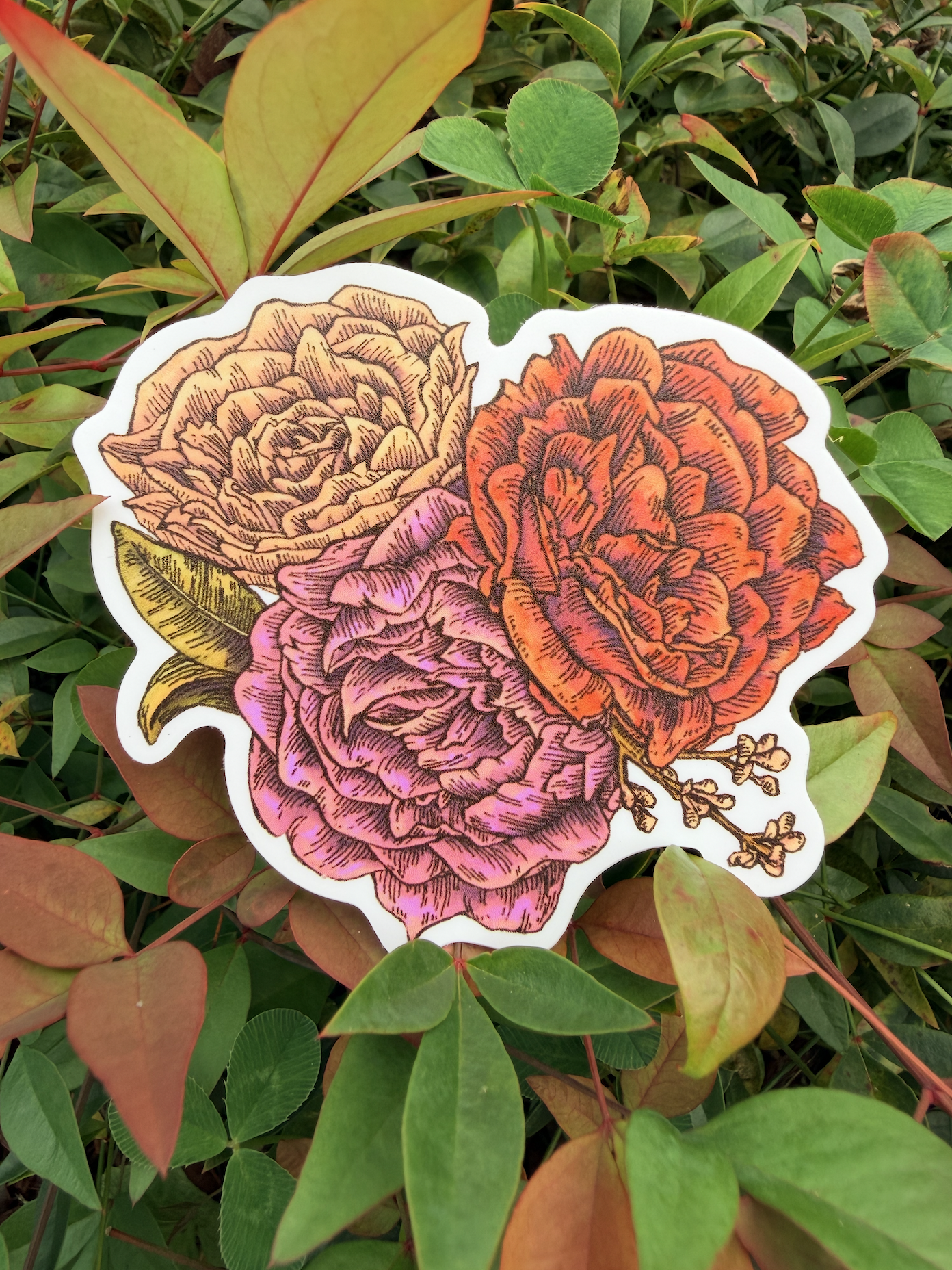 Roses - Matte Vinyl Sticker