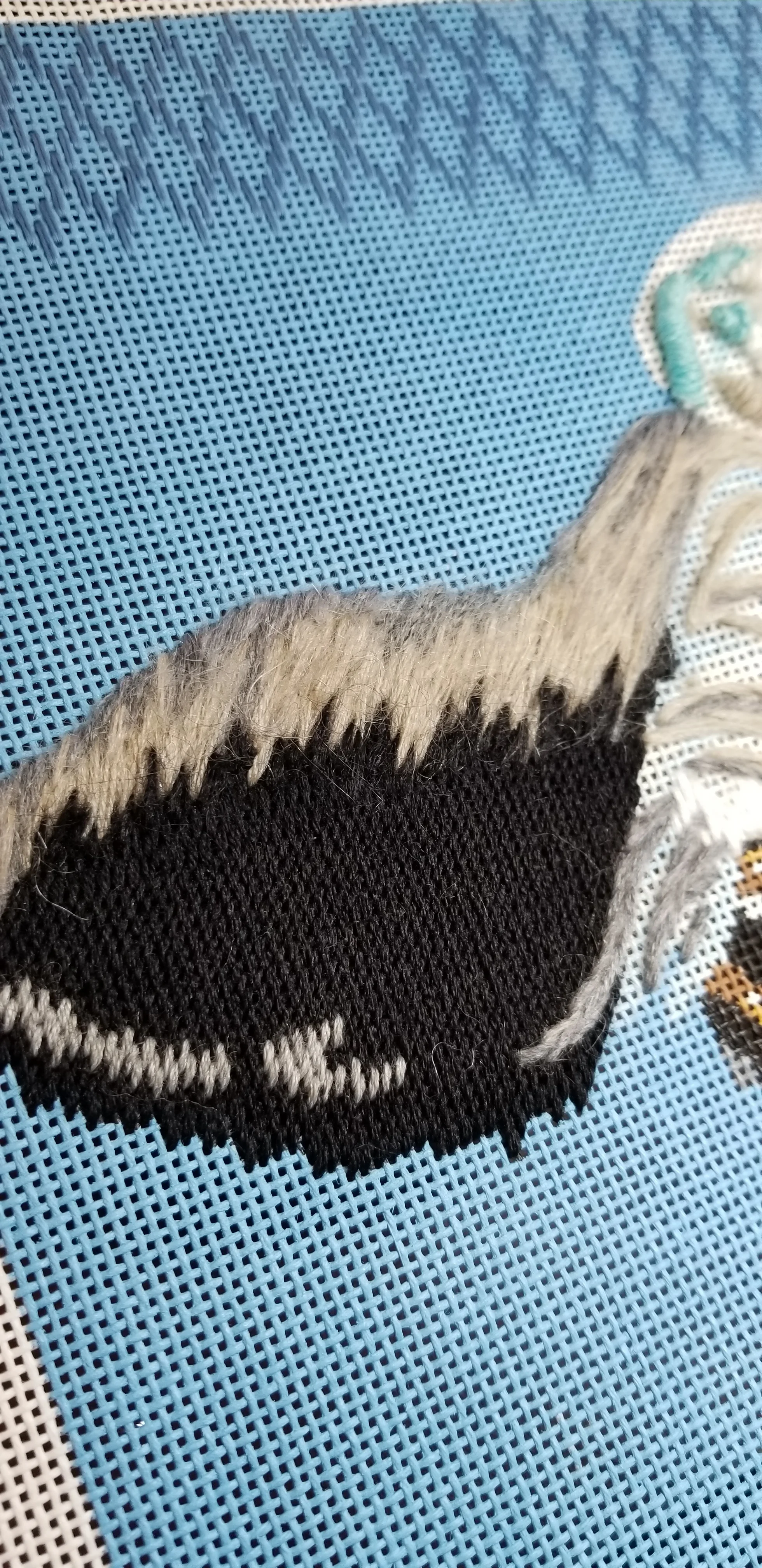 20190114_152047.jpg