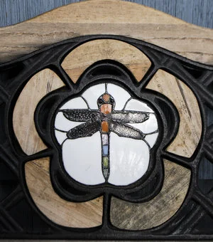 Dragonfly 1.jpg