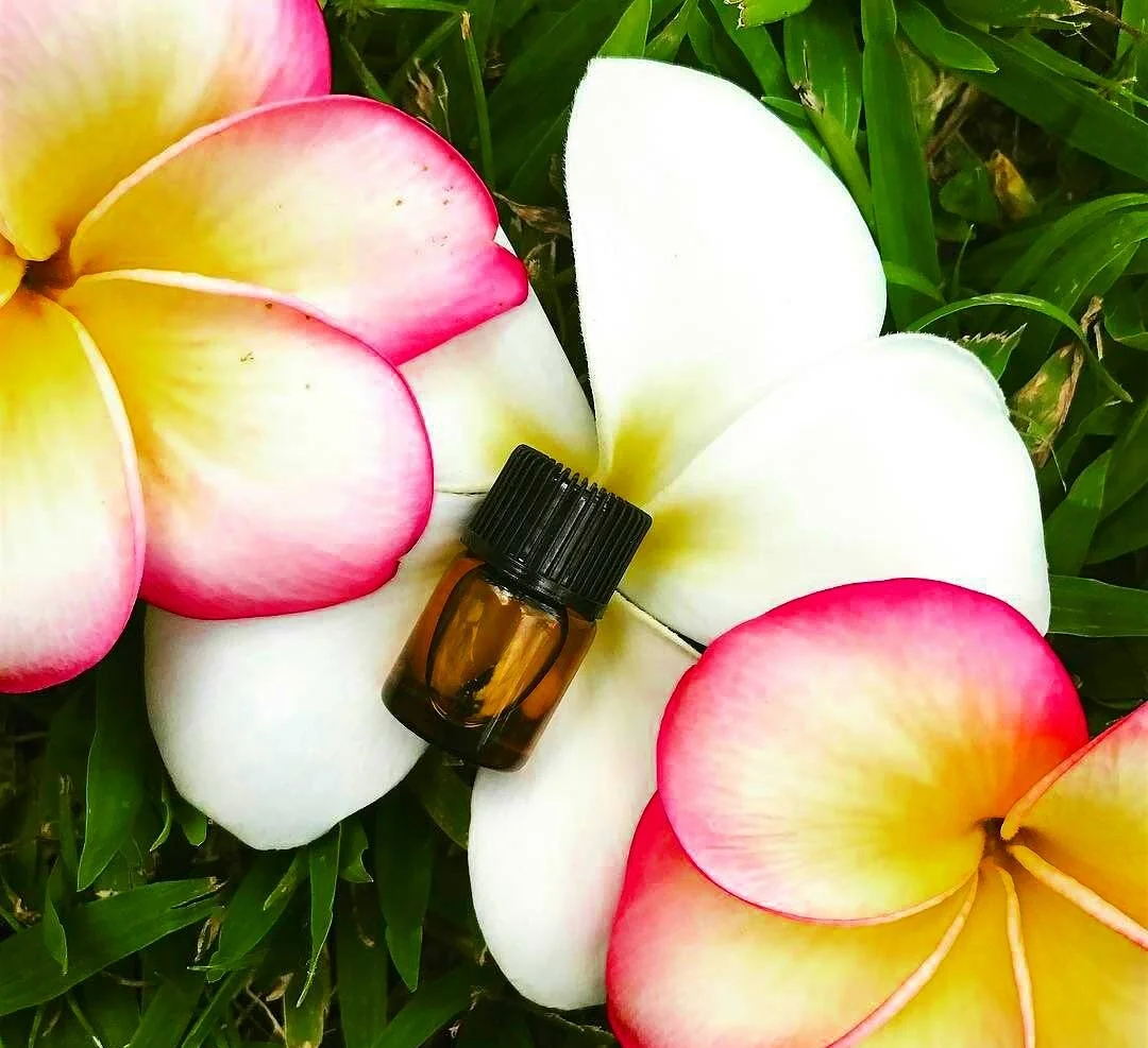 plumeria oil.jpg