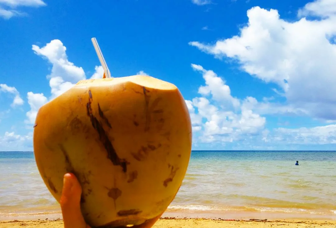 coconut straw.jpg