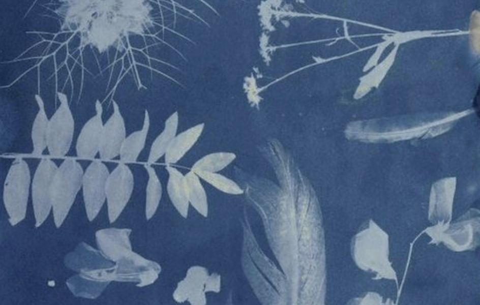 Cyanotype Workshop