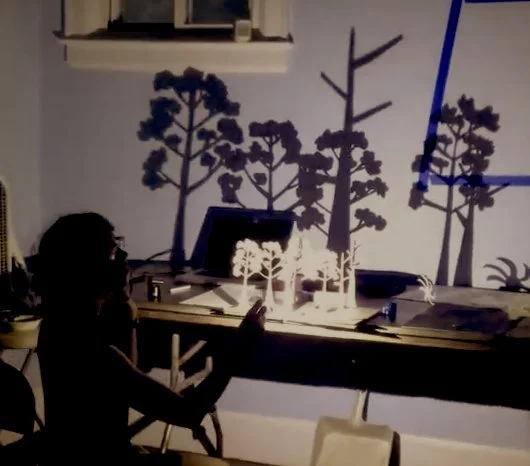 Abandoned Ships: Adult Puppetry Workshop (Flashlights and Shadows)