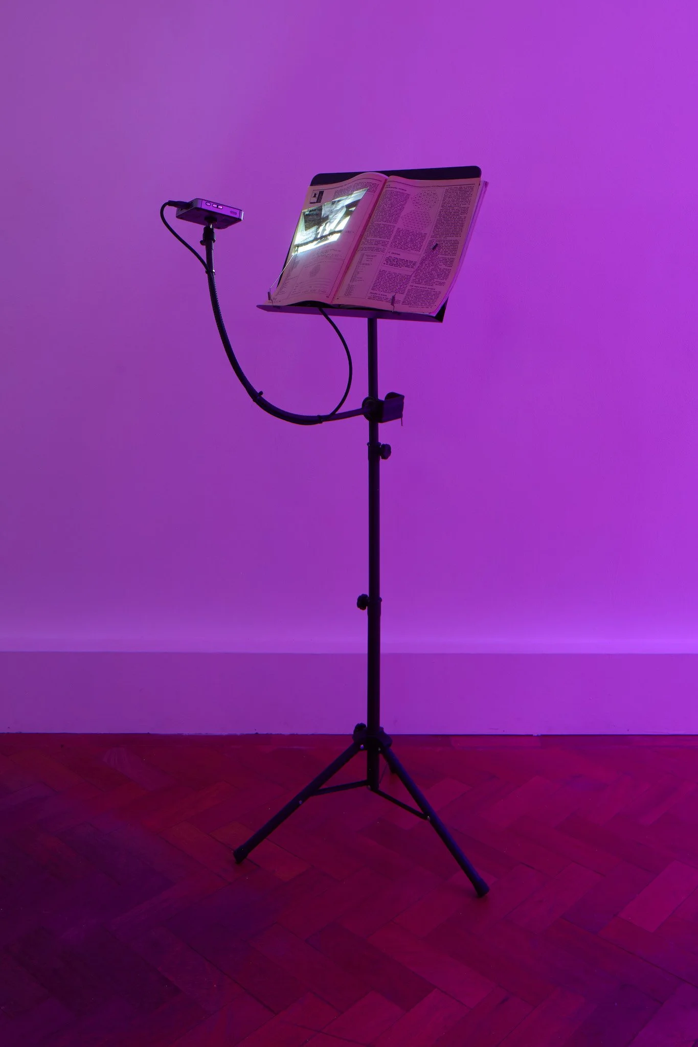 Inside the Art, Outside Ourselves