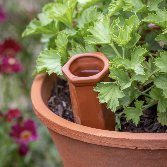SSCA: Ceramic Self-Watering Spikes with Summer Tomes
