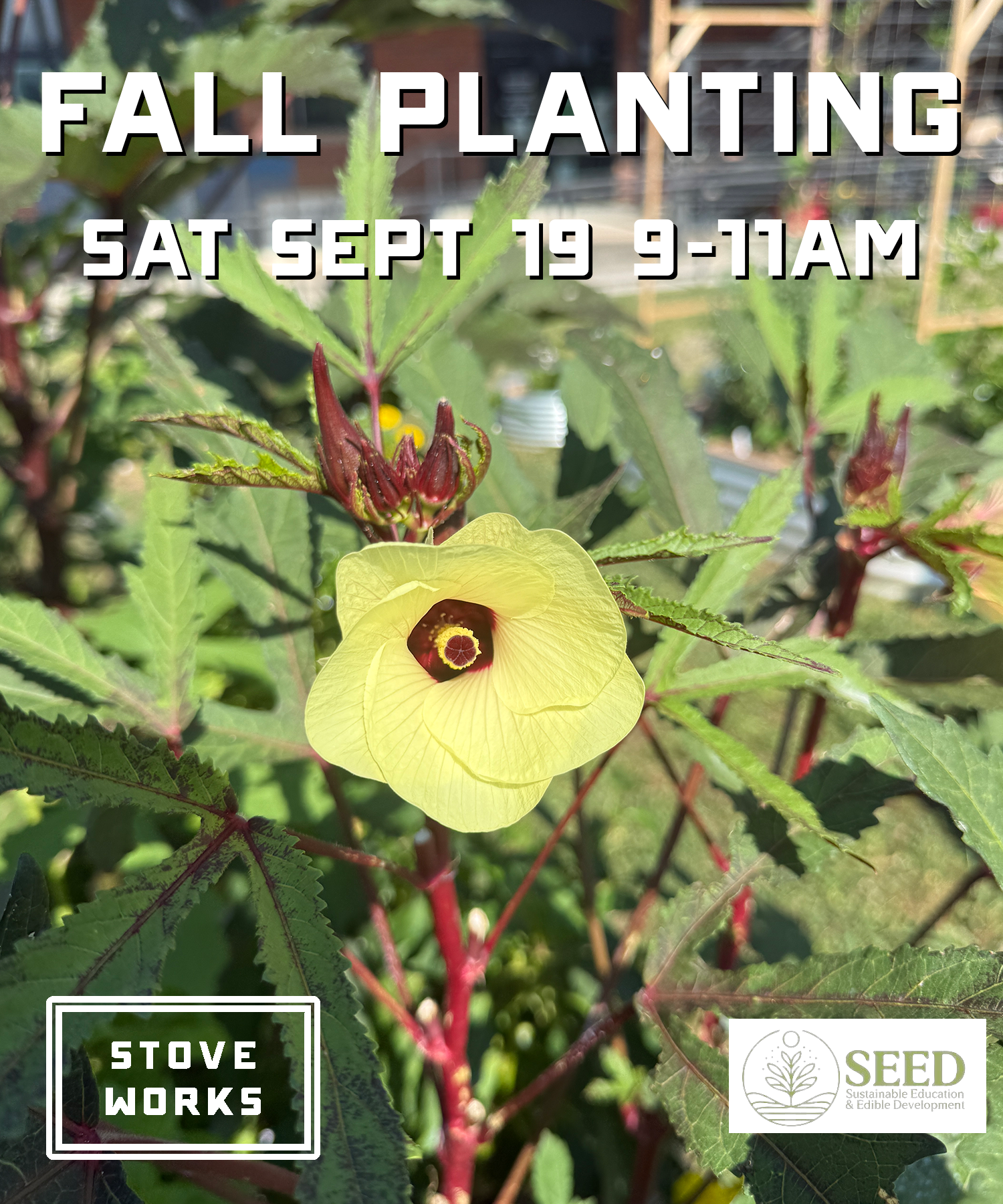 Fall Planting with SEED Chatt