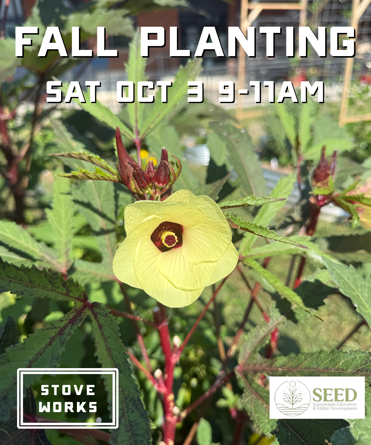 Fall Planting with SEED Chatt