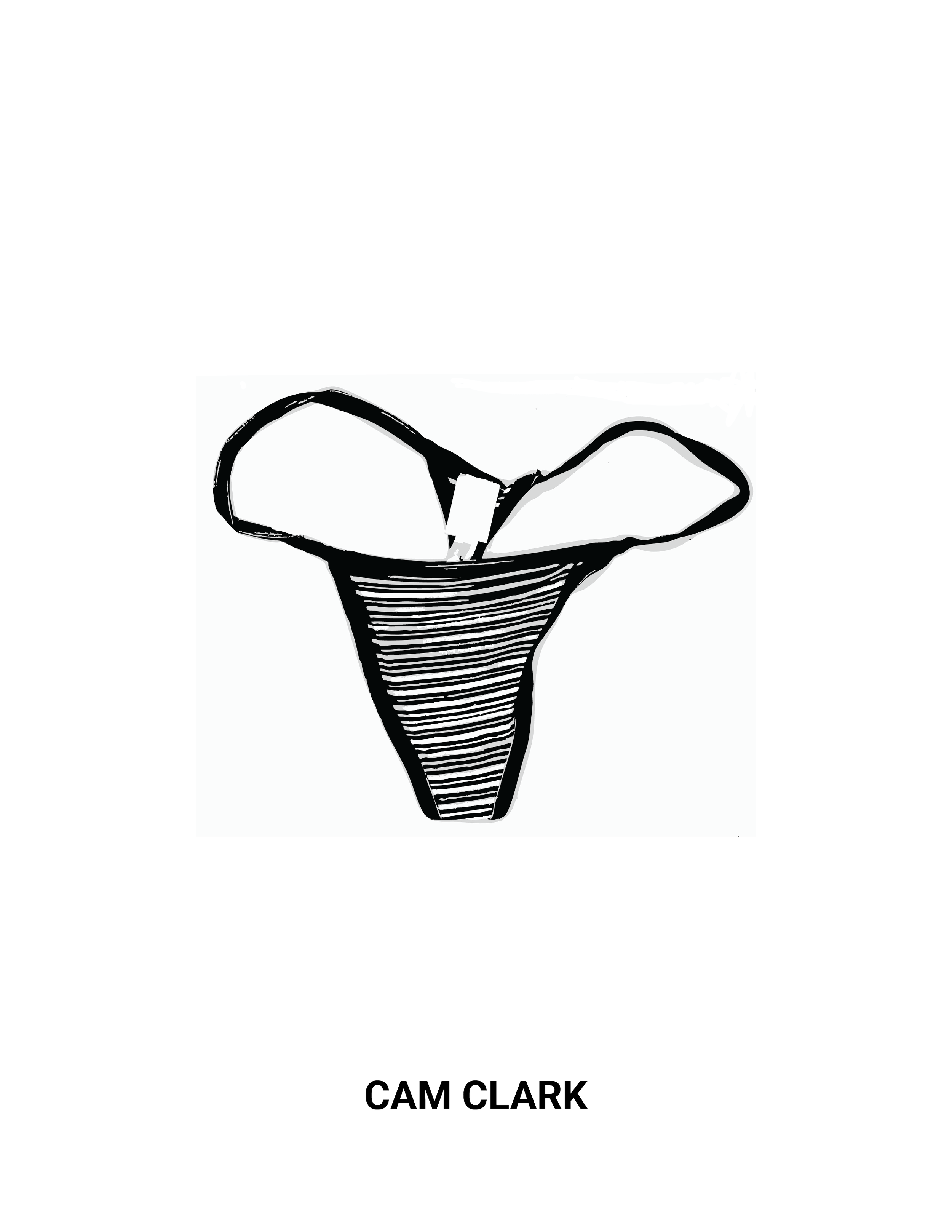 cam clark flash.png