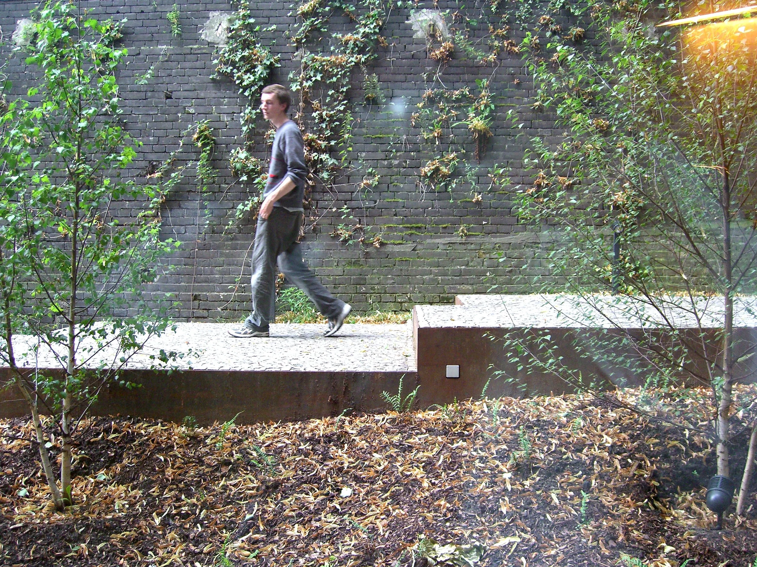  Fig. 6  External terrace in steel and stone 