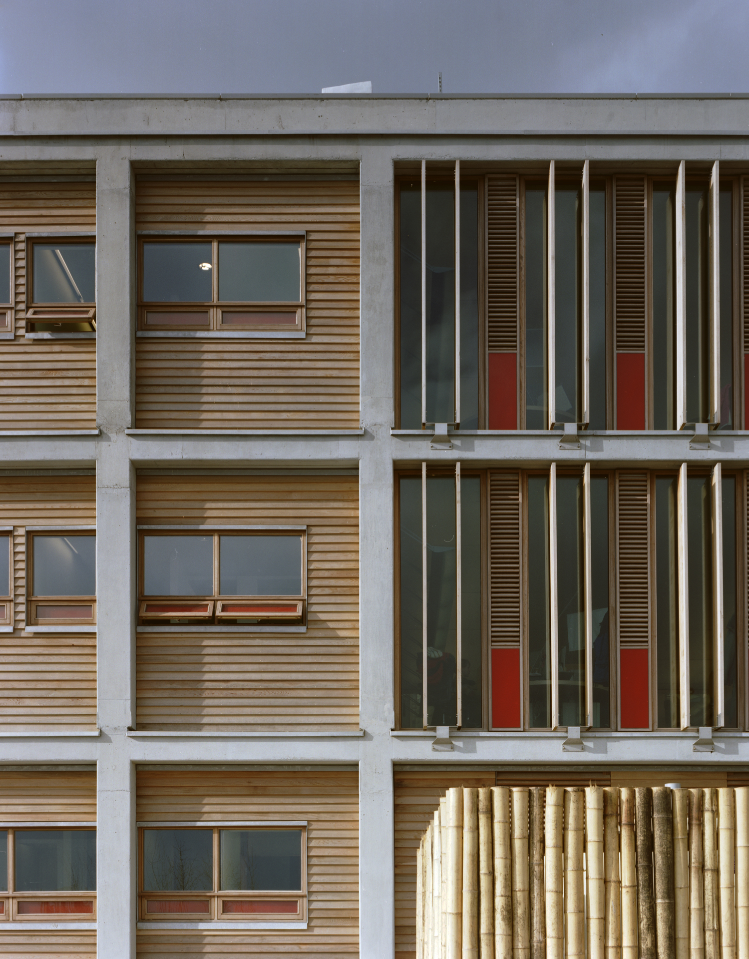 Fig. 3 East elevation, cedar cladding and brise-soliel, vertical ventilator panels