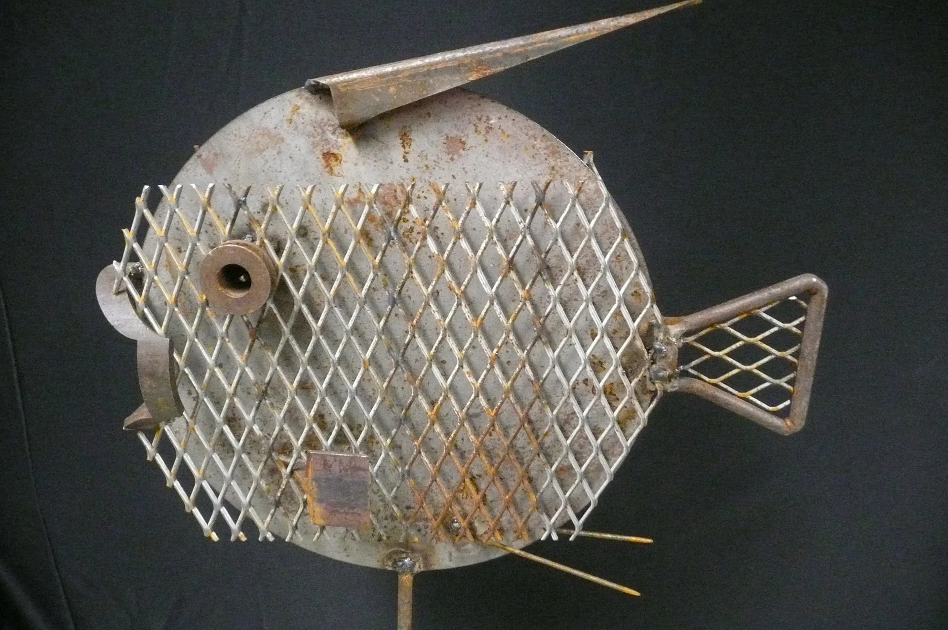 Fish On A Stick