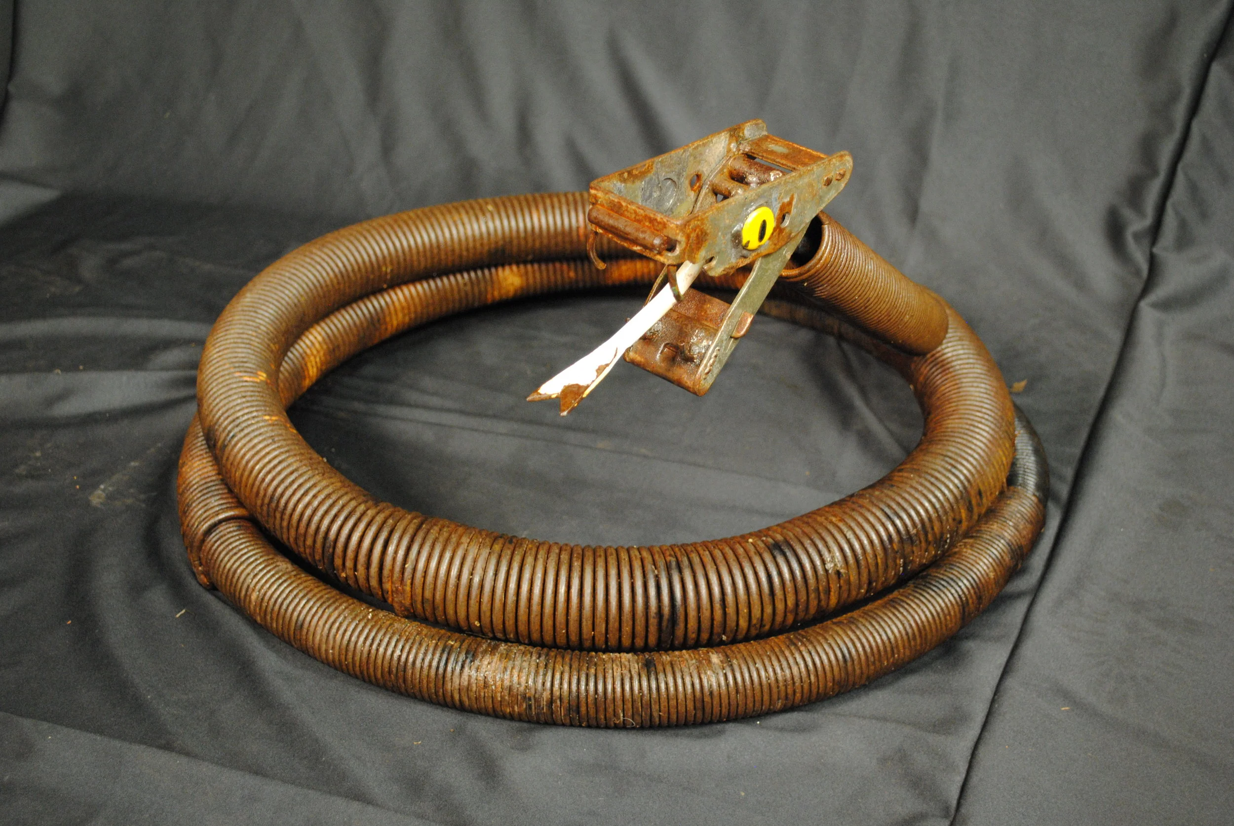 Snake